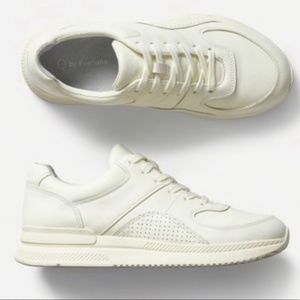 NWOB Everlane "The Trainer"